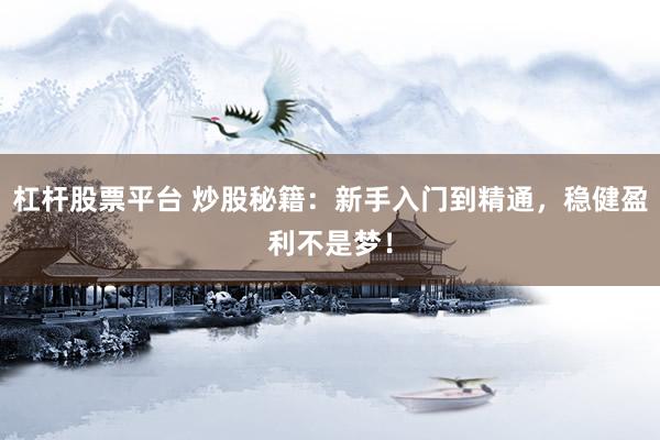 杠杆股票平台 炒股秘籍：新手入门到精通，稳健盈利不是梦！