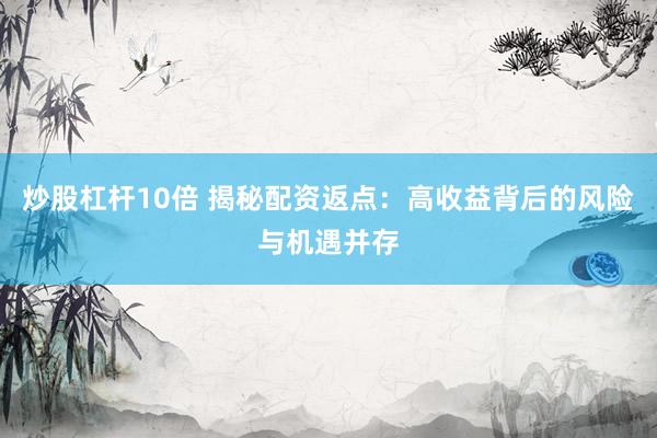 炒股杠杆10倍 揭秘配资返点：高收益背后的风险与机遇并存